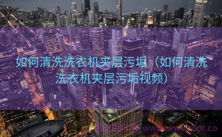 如何清洗洗衣机夹层污垢（如何清洗洗衣机夹层污垢视频）