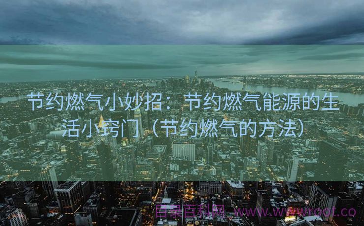 节约燃气小妙招：节约燃气能源的生活小窍门（节约燃气的方法）
