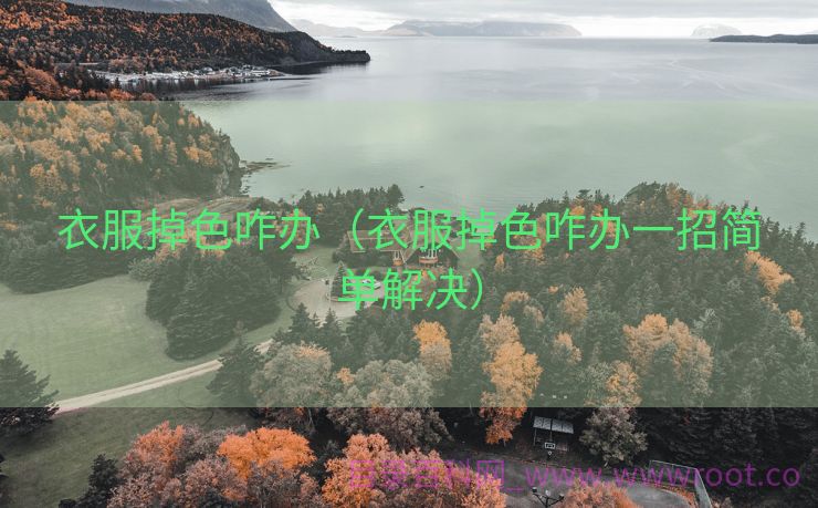 衣服掉色咋办（衣服掉色咋办一招简单解决）