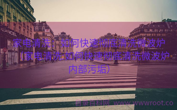 家电清洗：如何快速彻底清洗微波炉（家电清洗:如何快速彻底清洗微波炉内部污垢）