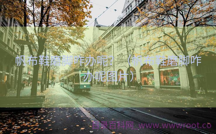 帆布鞋磨脚咋办呢？（帆布鞋磨脚咋办呢图片）