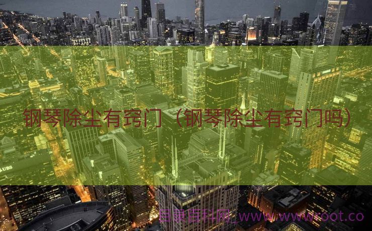 钢琴除尘有窍门（钢琴除尘有窍门吗）
