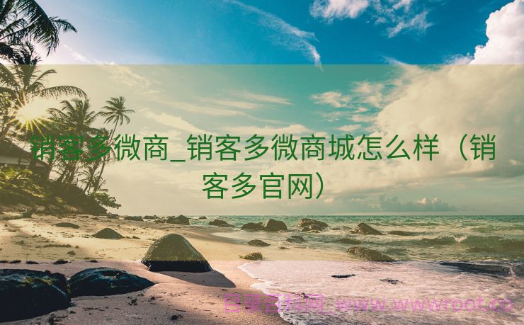 销客多微商_销客多微商城怎么样（销客多官网）