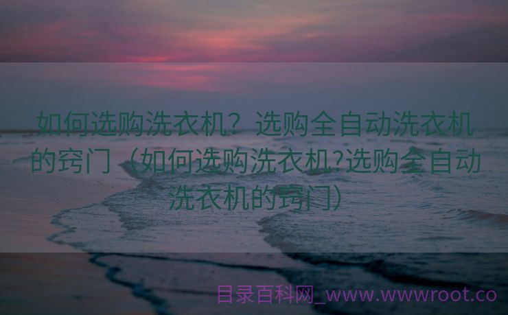 如何选购洗衣机？选购全自动洗衣机的窍门（如何选购洗衣机?选购全自动洗衣机的窍门）