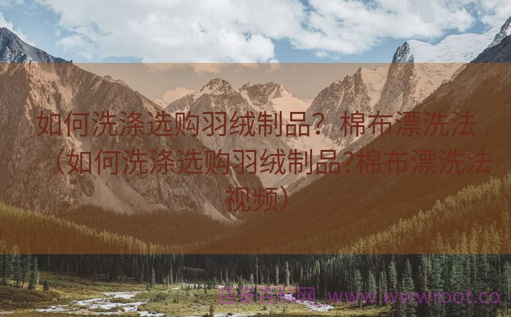如何洗涤选购羽绒制品？棉布漂洗法（如何洗涤选购羽绒制品?棉布漂洗法视频）