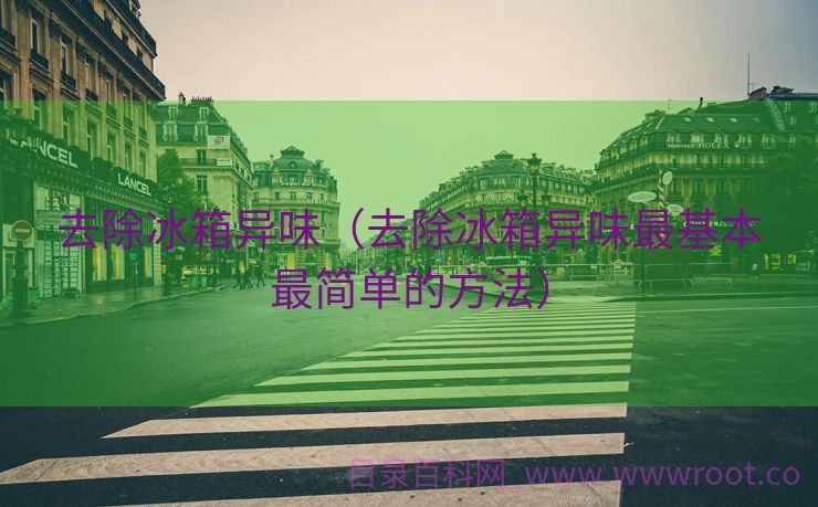 去除冰箱异味（去除冰箱异味最基本最简单的方法）