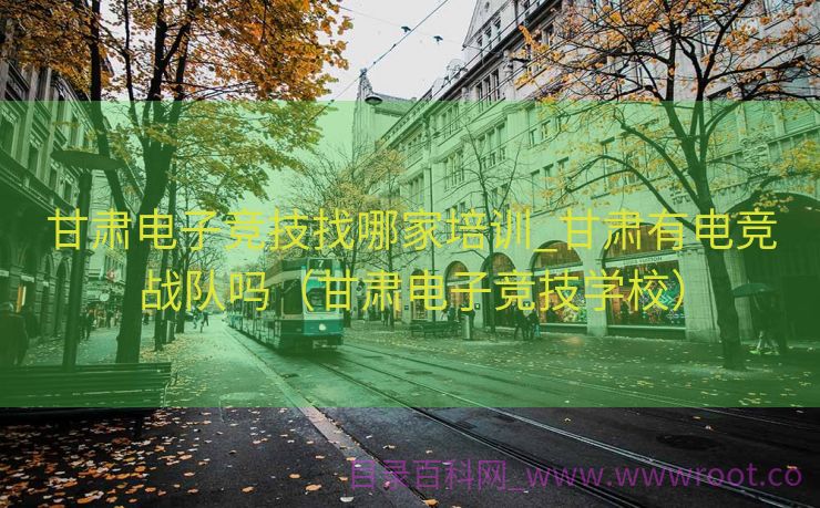 甘肃电子竞技找哪家培训_甘肃有电竞战队吗（甘肃电子竞技学校）