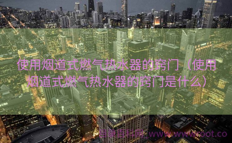 使用烟道式燃气热水器的窍门（使用烟道式燃气热水器的窍门是什么）