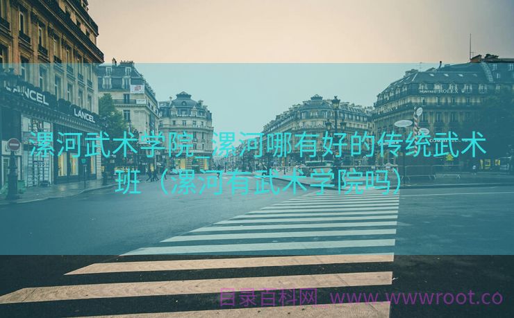 漯河武术学院_漯河哪有好的传统武术班（漯河有武术学院吗）