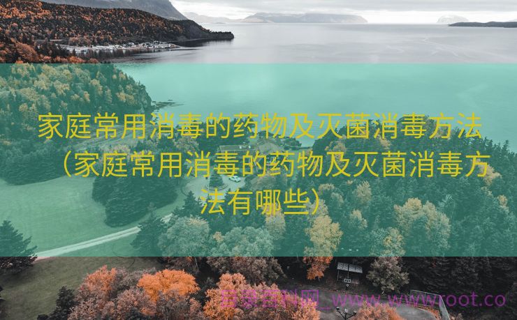 家庭常用消毒的药物及灭菌消毒方法（家庭常用消毒的药物及灭菌消毒方法有哪些）