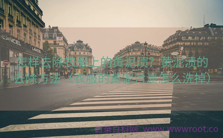 怎样去除衣服上的黄泥渍？黄泥渍的去除方法（衣服的黄泥污渍怎么洗掉）