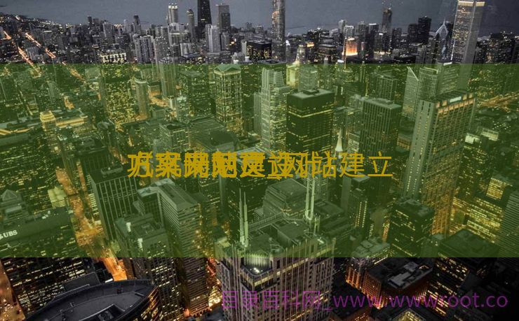 巩义网站建立
方案书范文_网站建立
方案计划
（巩义网页设计）