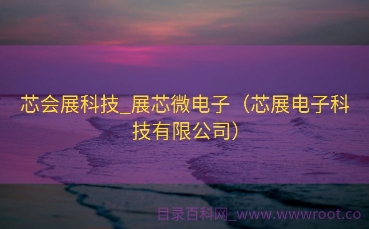 芯会展科技_展芯微电子（芯展电子科技有限公司）
