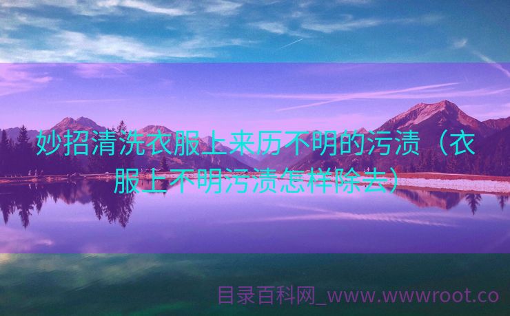 妙招清洗衣服上来历不明的污渍（衣服上不明污渍怎样除去）