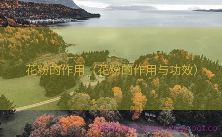 花粉的作用（花粉的作用与功效）