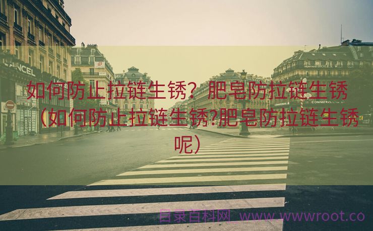 如何防止拉链生锈？肥皂防拉链生锈（如何防止拉链生锈?肥皂防拉链生锈呢）