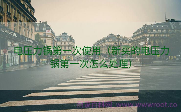 电压力锅第一次使用（新买的电压力锅第一次怎么处理）