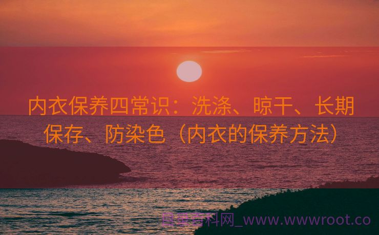 内衣保养四常识：洗涤、晾干、长期保存、防染色（内衣的保养方法）