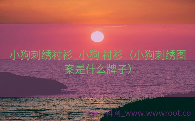 小狗刺绣衬衫_小狗 衬衫（小狗刺绣图案是什么牌子）