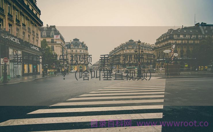 垂直泛娱乐视频_垂直视频是什么意思?（啥叫垂直视频）