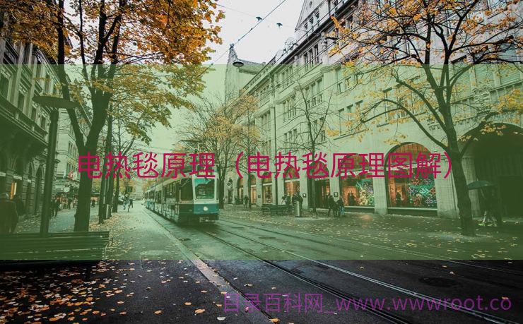 电热毯原理（电热毯原理图解）