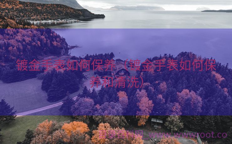 镀金手表如何保养（镀金手表如何保养和清洗）