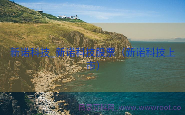 新诺科技_新诺科技股票（新诺科技上市）
