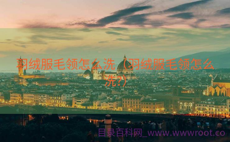 羽绒服毛领怎么洗（羽绒服毛领怎么洗?）