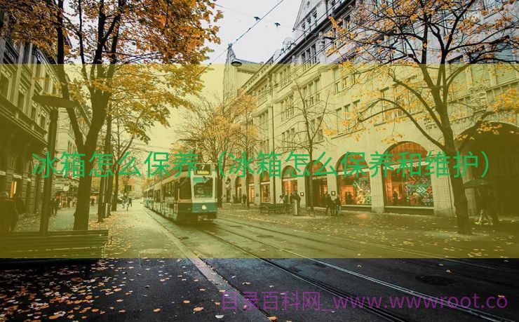 冰箱怎么保养（冰箱怎么保养和维护）