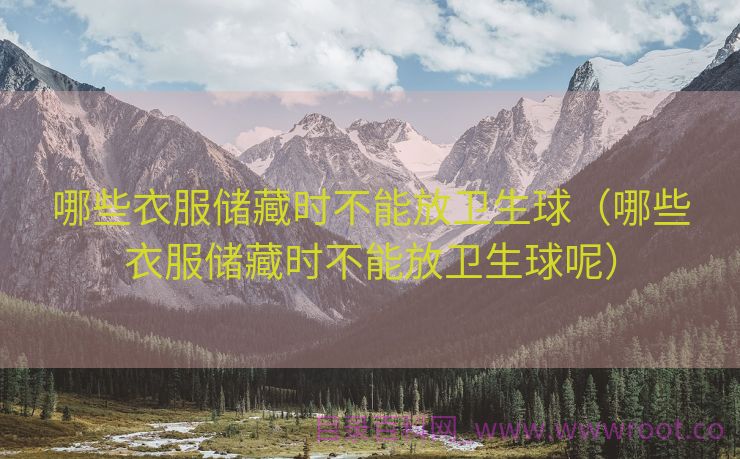 哪些衣服储藏时不能放卫生球（哪些衣服储藏时不能放卫生球呢）