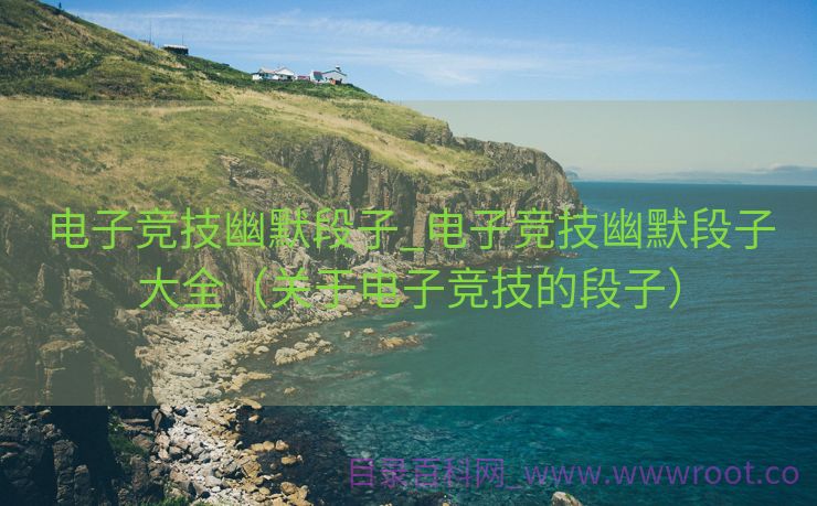 电子竞技幽默段子_电子竞技幽默段子大全（关于电子竞技的段子）