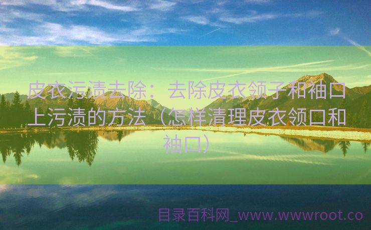 皮衣污渍去除：去除皮衣领子和袖口上污渍的方法（怎样清理皮衣领口和袖口）