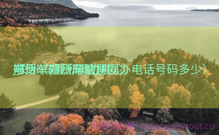 郑州车管所网站建立
_郑州车管所网办中心

电话（郑州车管所网办电话号码多少）