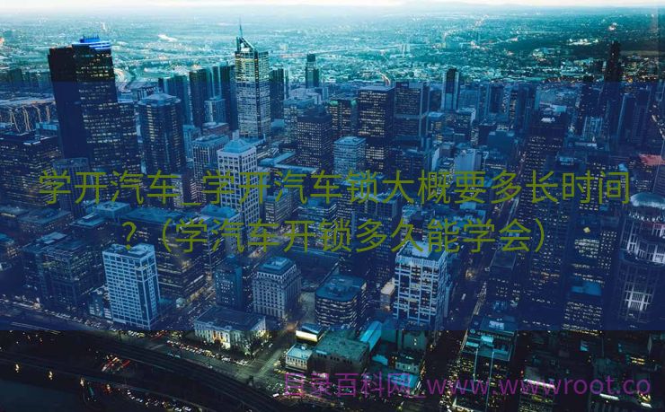 学开汽车_学开汽车锁大概要多长时间?（学汽车开锁多久能学会）