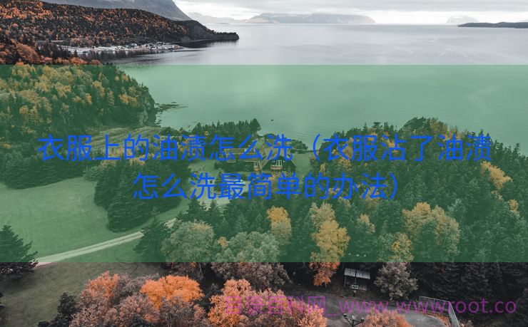 衣服上的油渍怎么洗（衣服沾了油渍怎么洗最简单的办法）