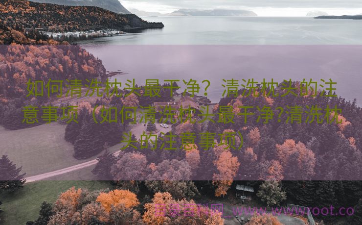 如何清洗枕头最干净？清洗枕头的注意事项（如何清洗枕头最干净?清洗枕头的注意事项）