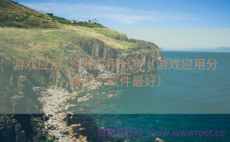 游戏应用_游戏应用分身（游戏应用分身哪个软件最好）