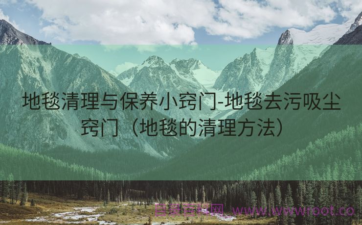 地毯清理与保养小窍门-地毯去污吸尘窍门（地毯的清理方法）