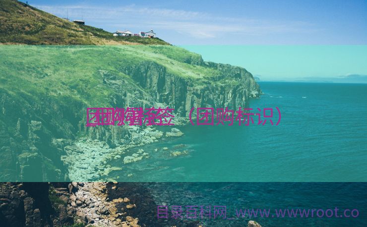 团购署名
_团购标签（团购标识）