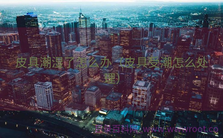 皮具潮湿了怎么办（皮具受潮怎么处理）