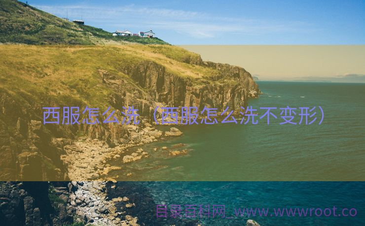 西服怎么洗（西服怎么洗不变形）