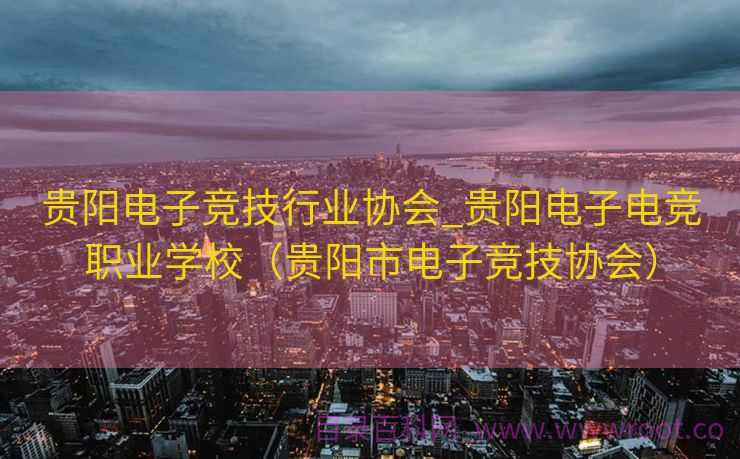 贵阳电子竞技行业协会_贵阳电子电竞职业学校（贵阳市电子竞技协会）