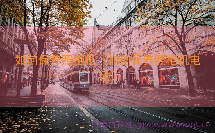 如何保养照相机（如何保养照相机电池）