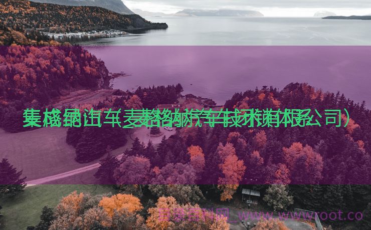 麦格纳汽车_麦格纳汽车闭锁体系
集成昆山（麦格纳汽车技术有限公司）