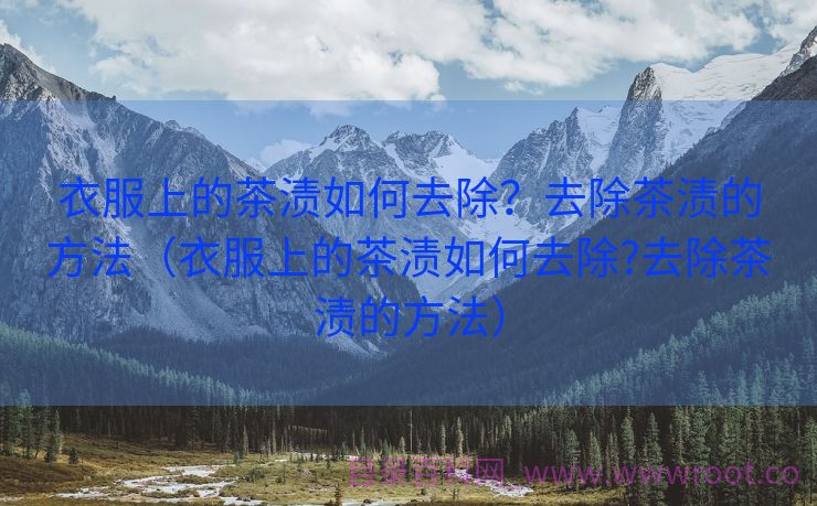 衣服上的茶渍如何去除？去除茶渍的方法（衣服上的茶渍如何去除?去除茶渍的方法）