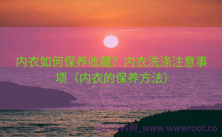 内衣如何保养收藏？内衣洗涤注意事项（内衣的保养方法）