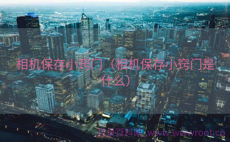 相机保存小窍门（相机保存小窍门是什么）