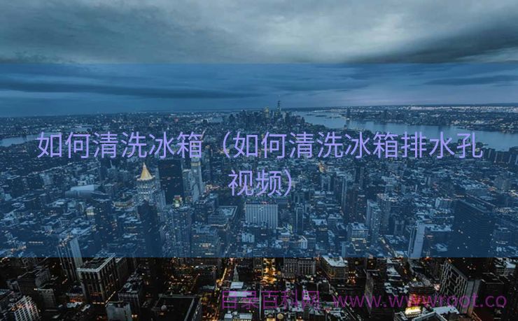 如何清洗冰箱（如何清洗冰箱排水孔视频）