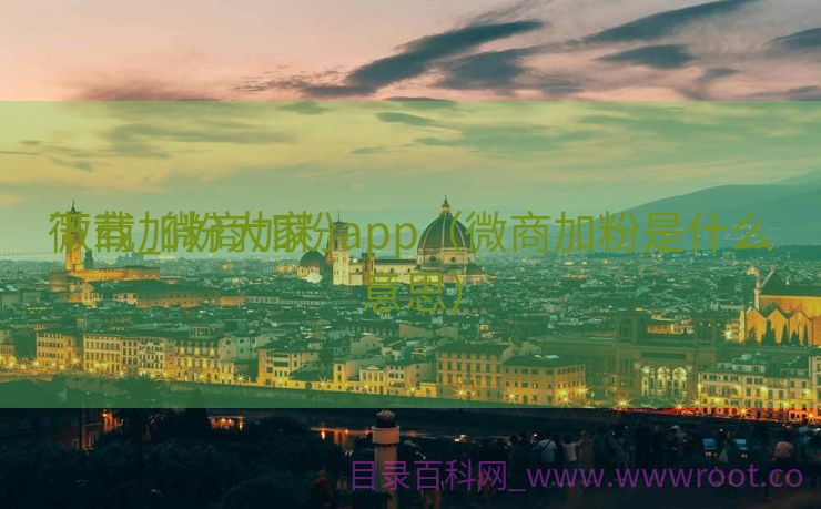 微商加粉大家
下载_微商加粉app（微商加粉是什么意思）