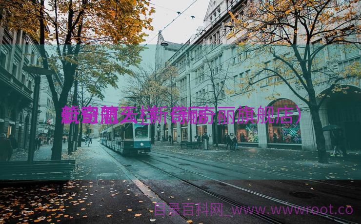 新奇丽
航空航天_新奇丽
公司怎么样（新奇丽旗舰店）